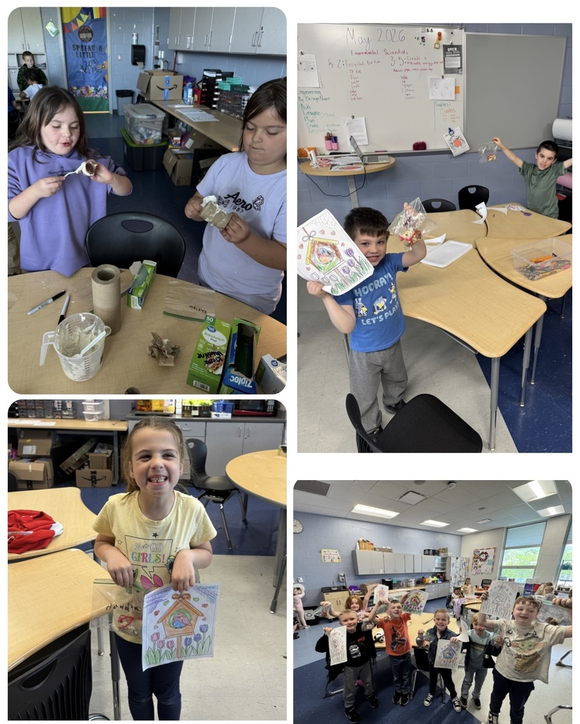 bird feeders and bird pics 