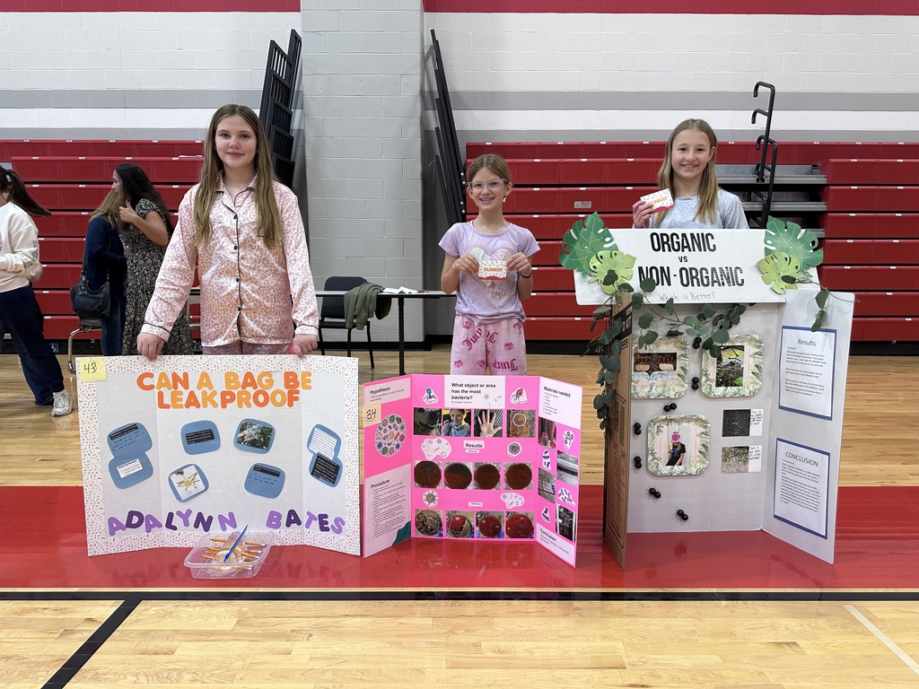 science fair