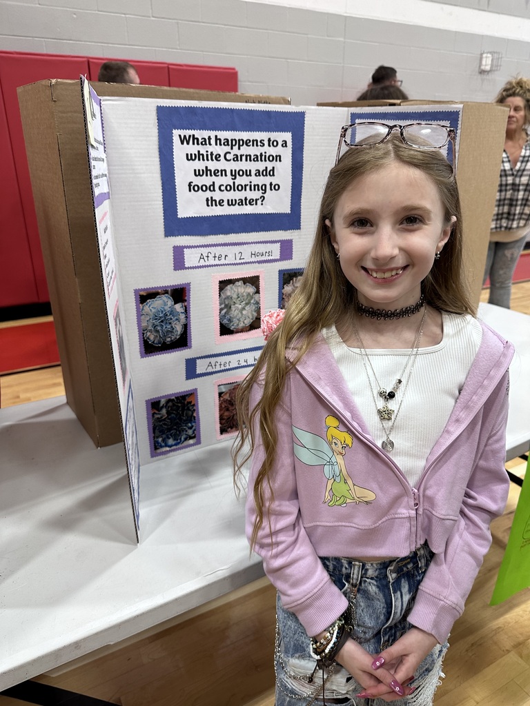 science fair