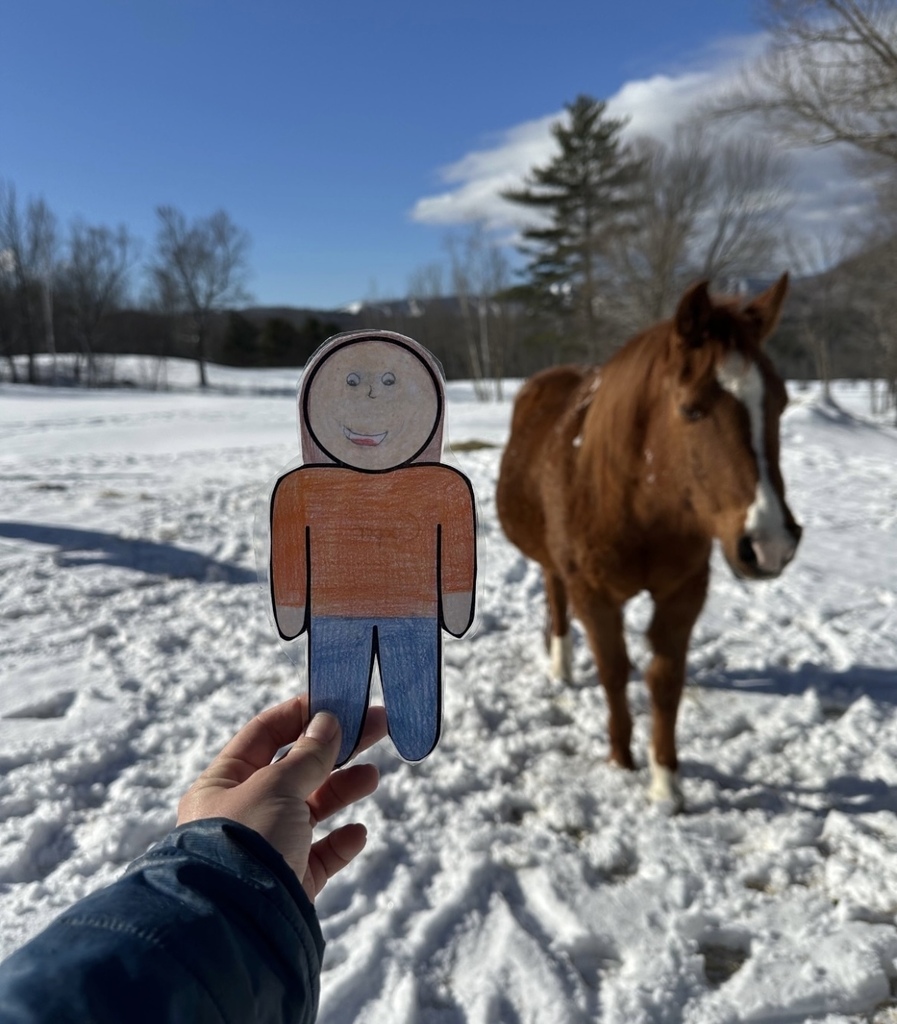 flat stanley with horse