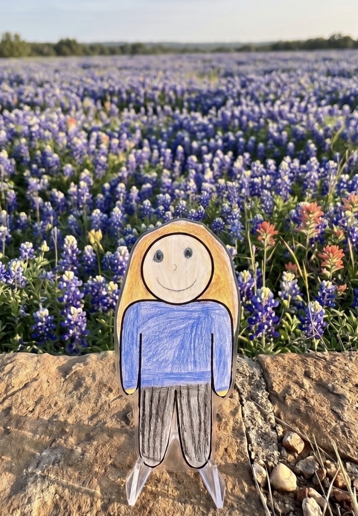 flat stanley in a place