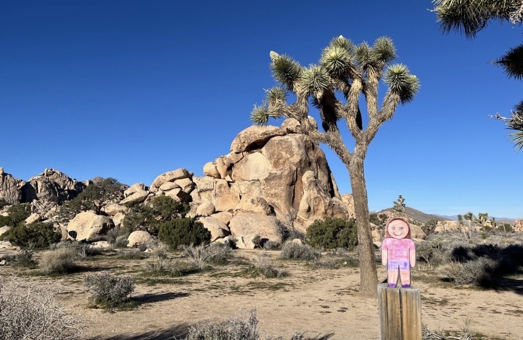 flat stanley with tree