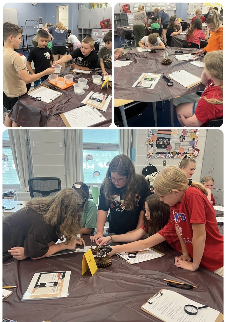 Stem camp 