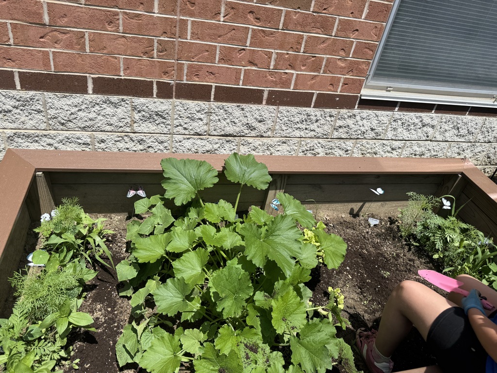 garden club