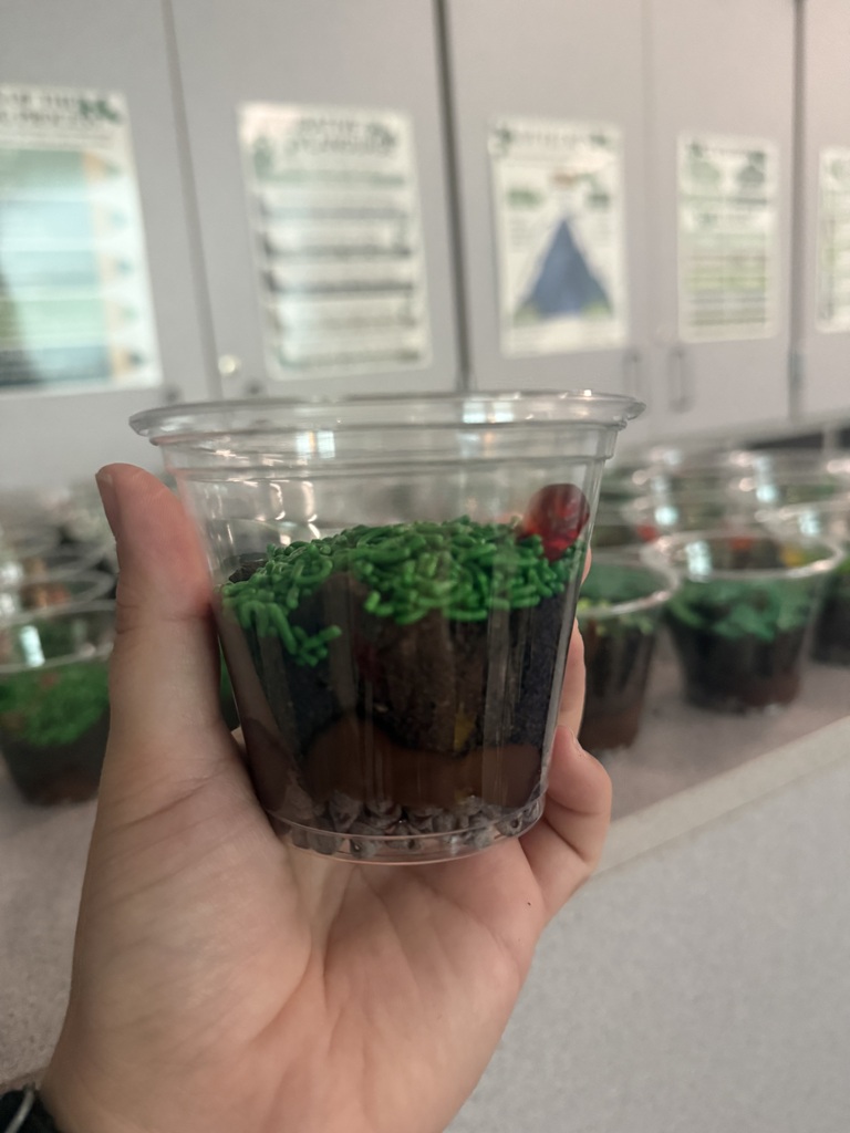 soil food cup