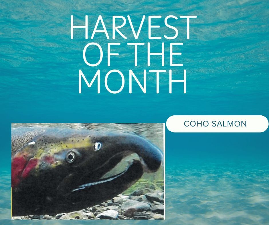 Harvest of the Month