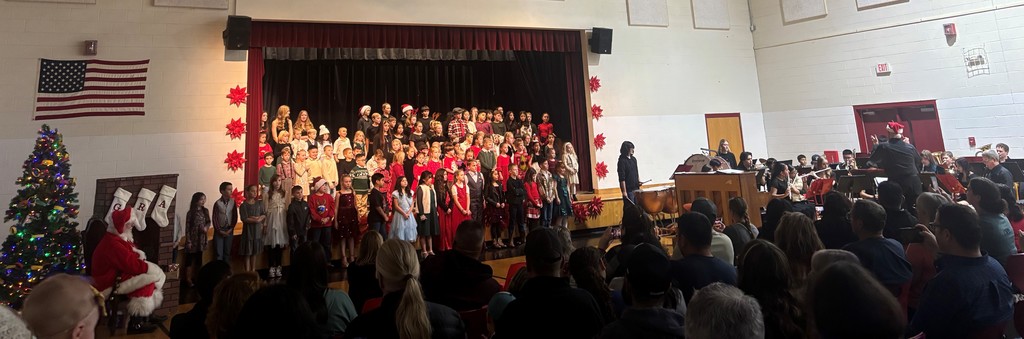 TSD Music Program Students