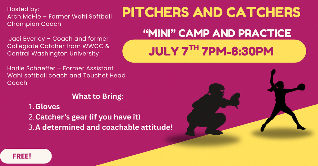 Mini Softball Camp