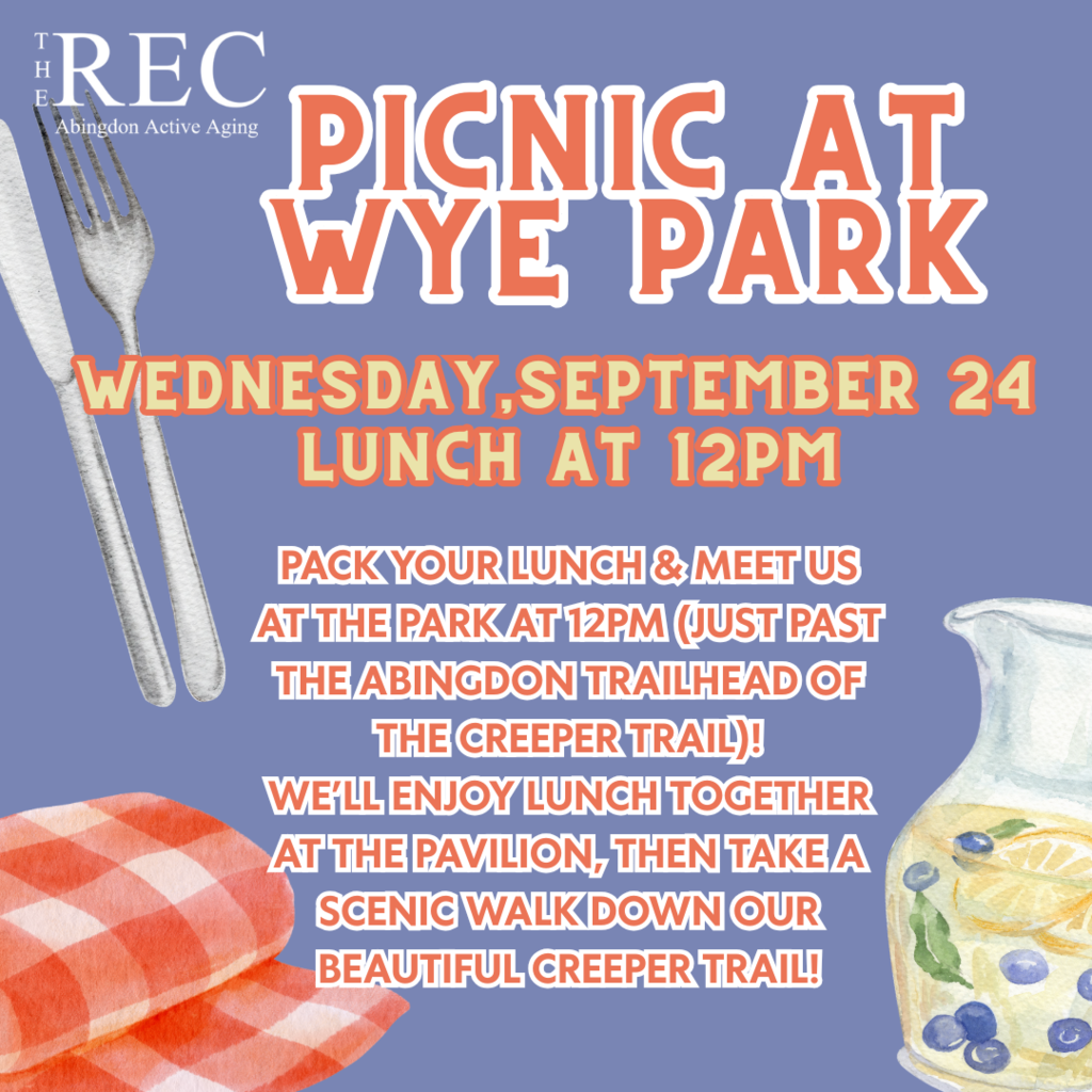 Picnic at Wye Park 