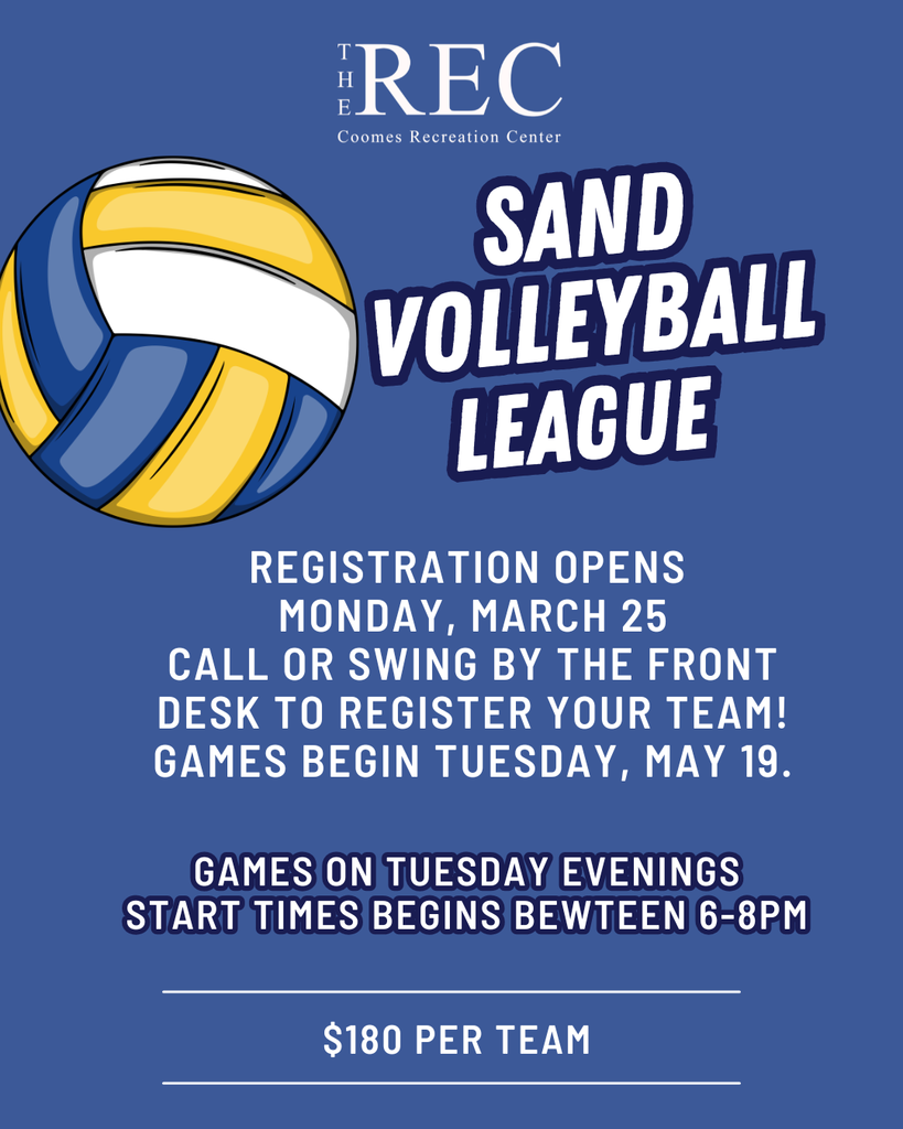 Sand Volleyball