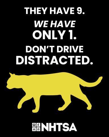 image of cat with captions saying They have 9, We have only 1. Don't drive distracted.