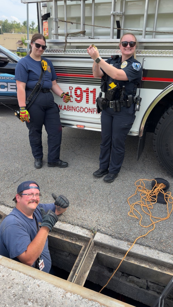 Duckling Rescue