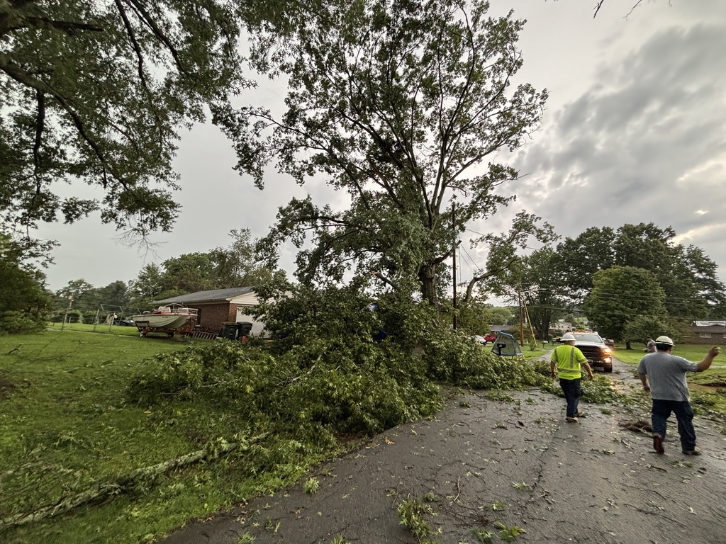 Storm Damage