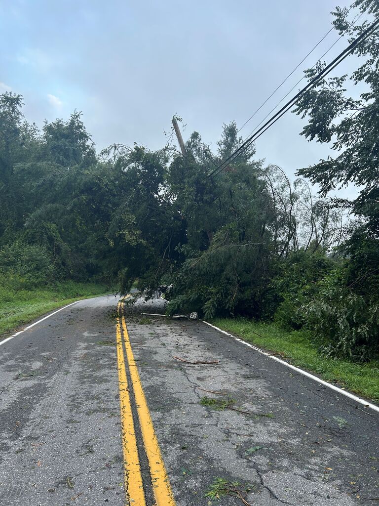 Storm Damage