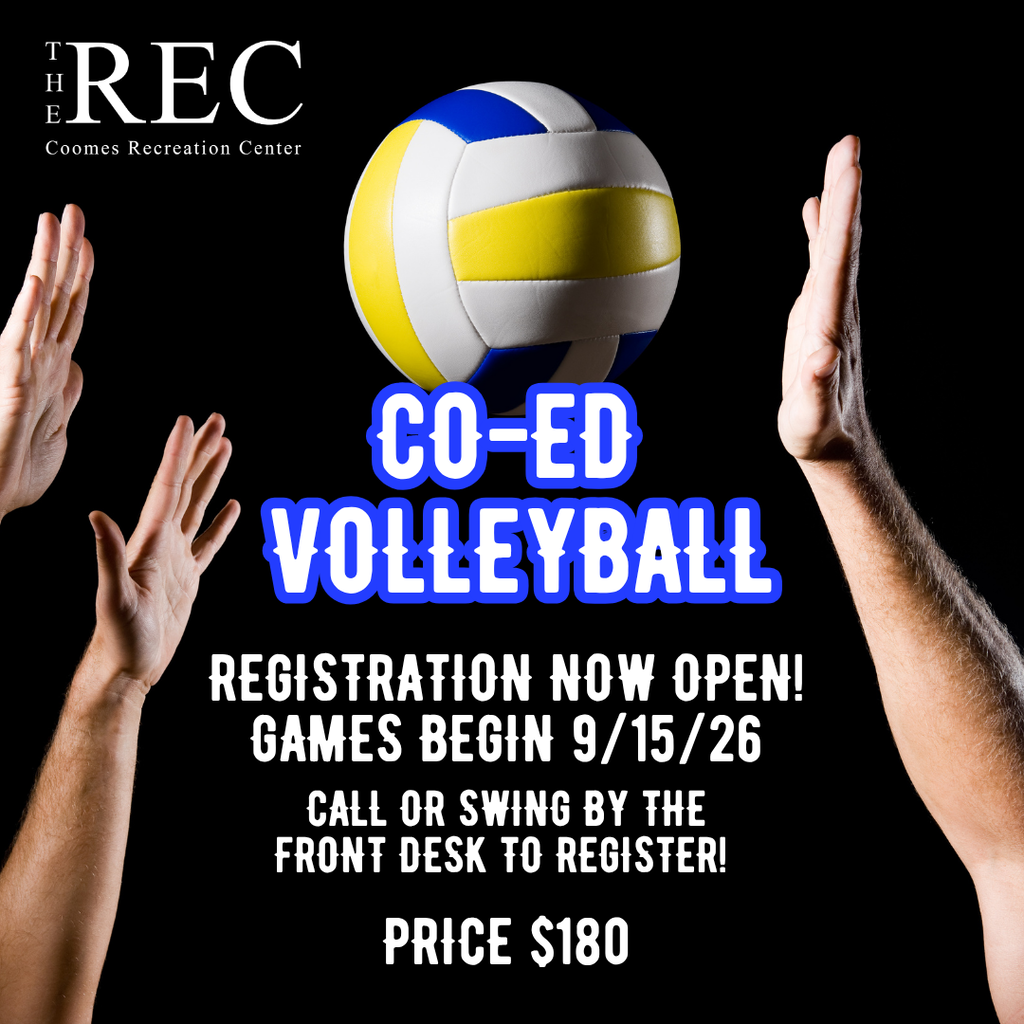 Volleyball Adult Leagues
