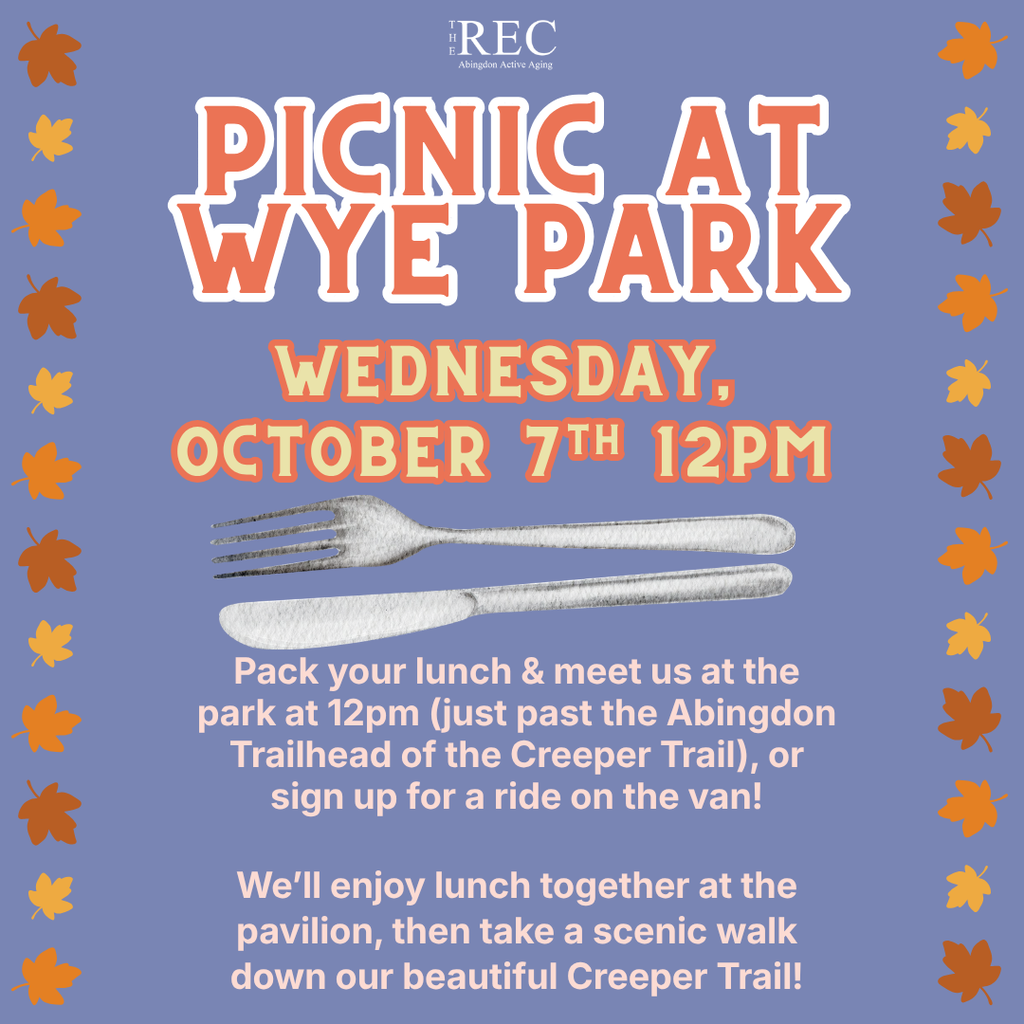 Picnic at Wye Park