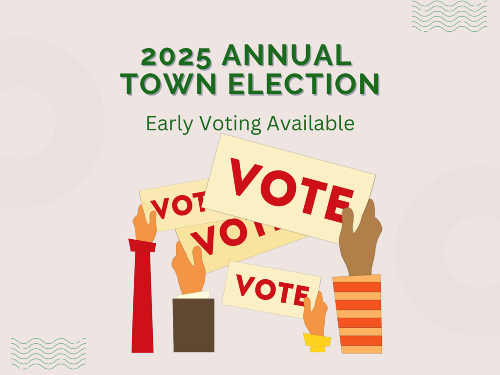 2025 annual town election