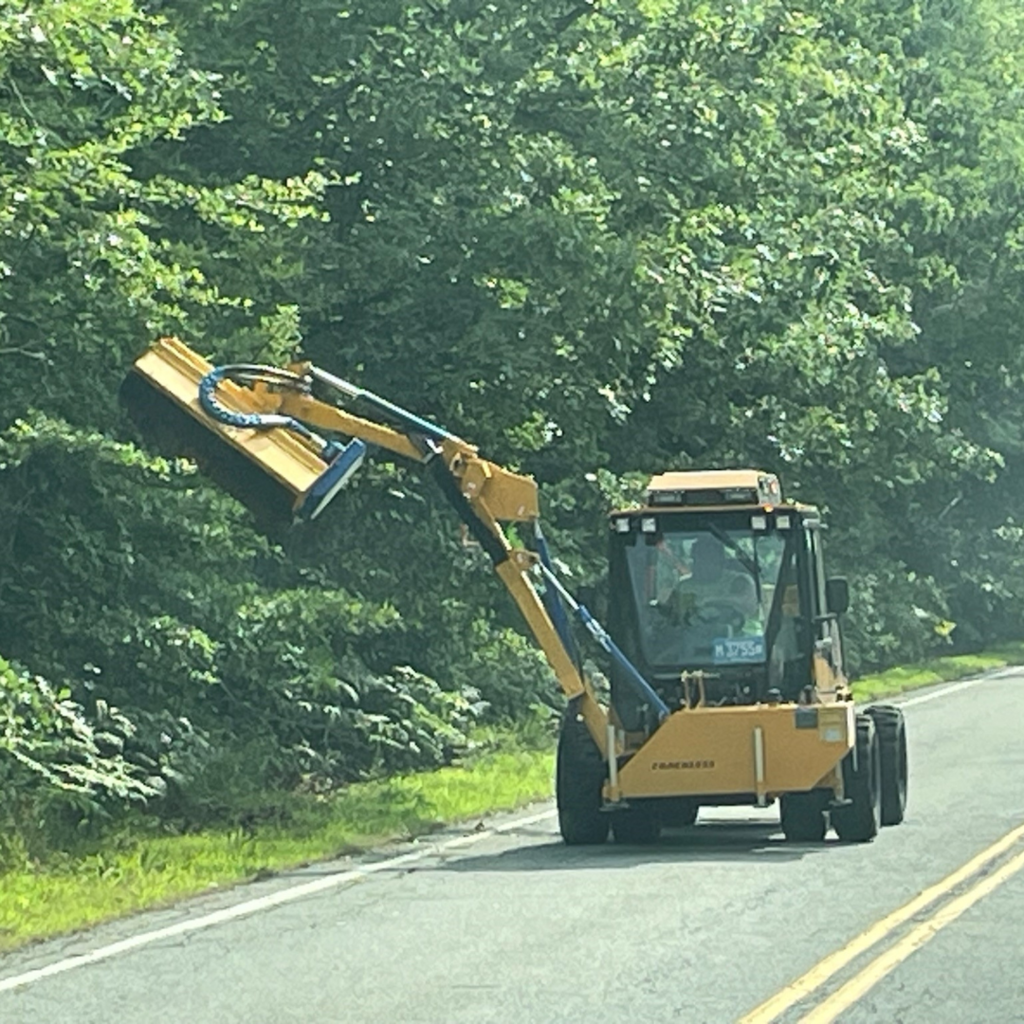 DPW1