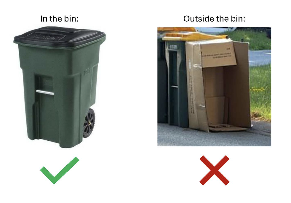 in the bin
