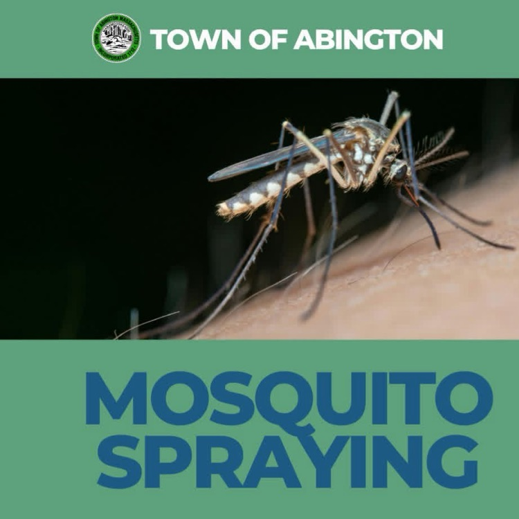 mosquito spraying