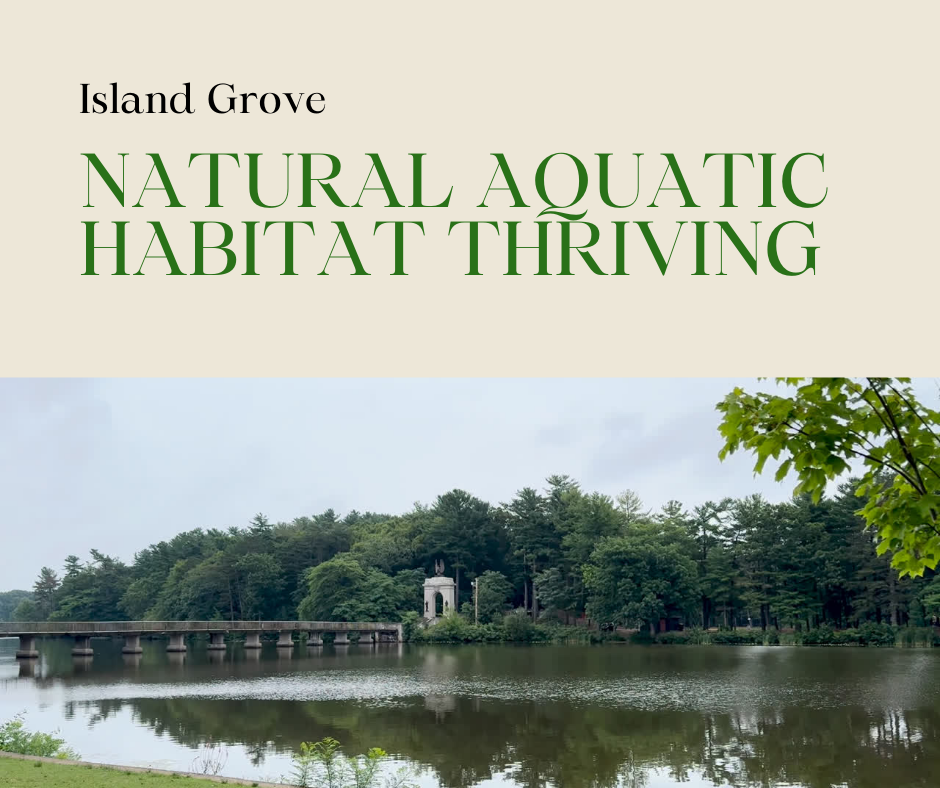Natural Aquatic habitat
