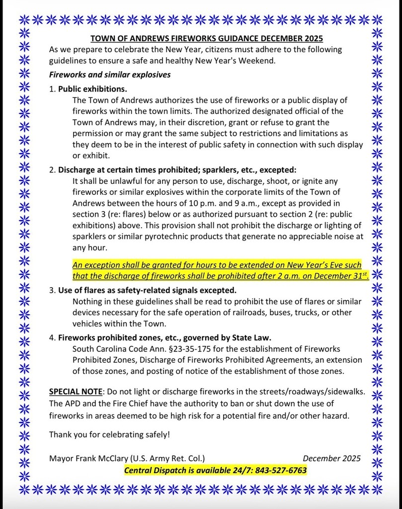 New Year's Eve Firework Guidance