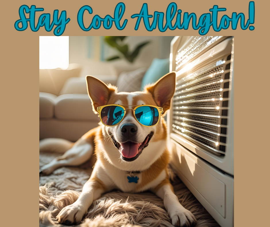 Beige graphic with a picture of a brown and white dog wearing sunglasses with blue lenses, who is lying in front of an air conditioner. Text at the top in blue says Stay Cool Arlington.