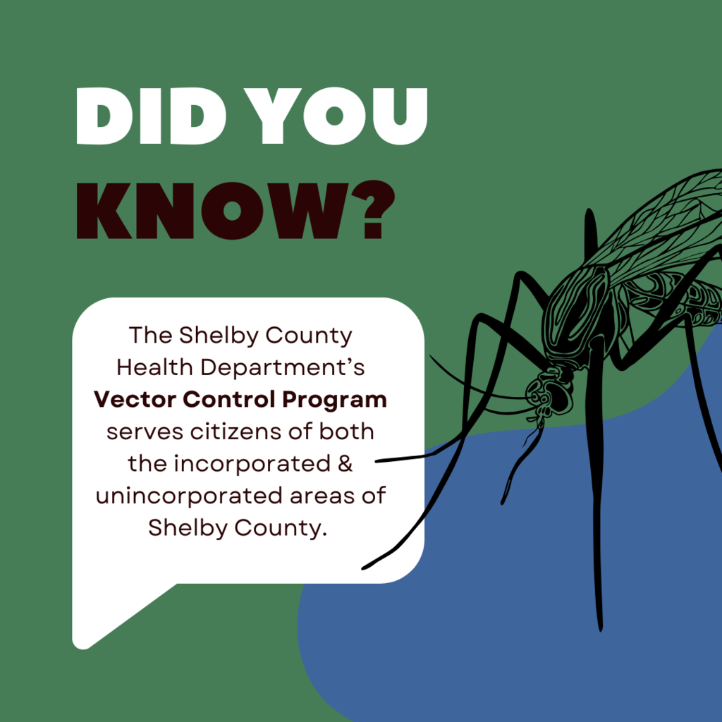Green and blue graphic with a mosquito on it and text: Did you know? The shelby county health department's vector control program serves citizens of both the incorporated and unincorporated areas of shelby county