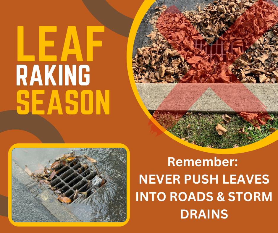 Orange and yellow graphic with two pictures of storm inlet grates, one covered with dead leaves and one with water draining into it. Text says: Leaf Raking Season - remember to never push leaves into roads and storm drains