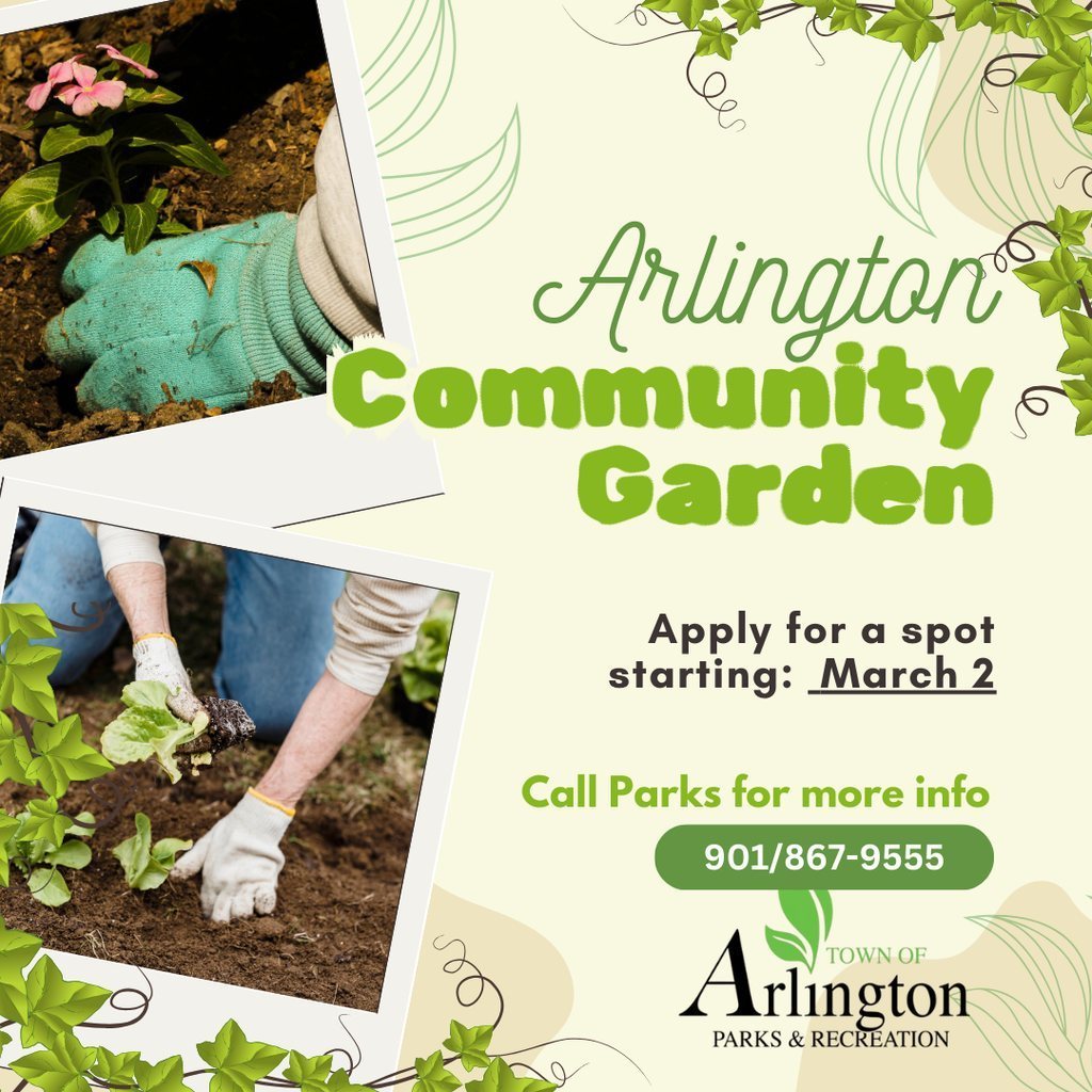 Community Garden graphic noting applications will be accepted starting March 2. Call 9010-867-9555 to the Parks department in Arlington for more information. 