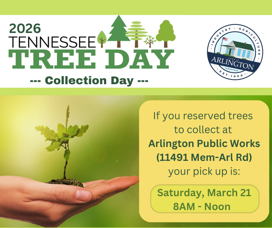 Yellow and green graphic for 2026 TN Tree Day Collection. Pick Up is at Arlington Public Works is from 8am-Noon Saturday, March 21. Includes pic of a hand holding a small sapling. 