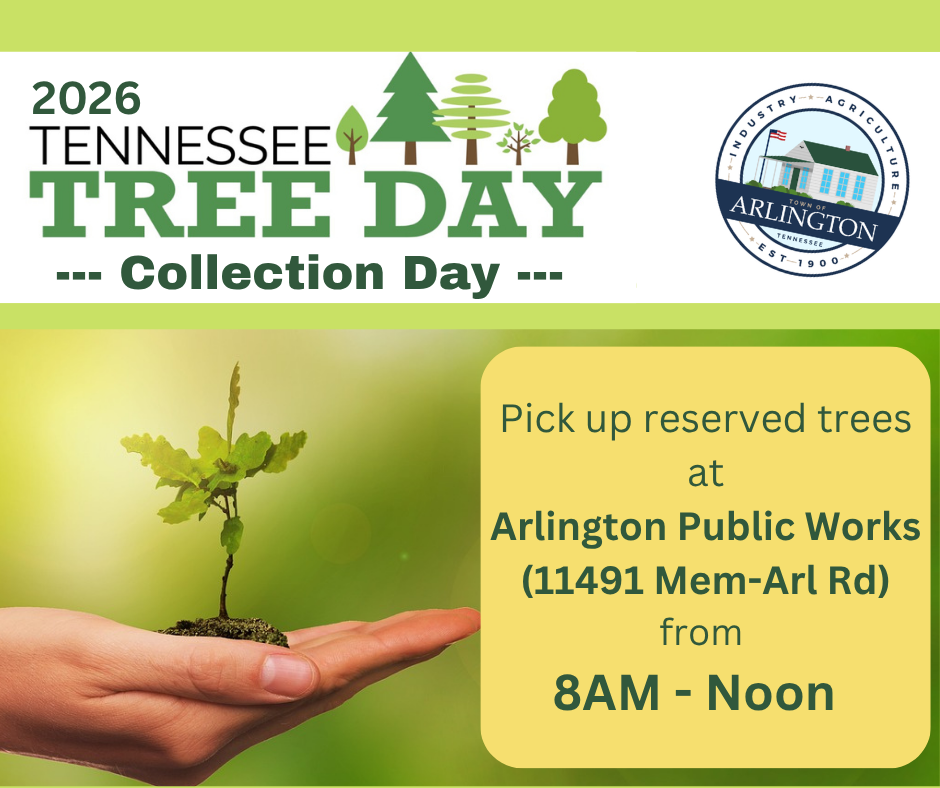 Green and yellow 2026 TN Tree Day graphic, noting today is Collection day at Arlington Public Works is from 8am-Noon. Includes a hand holding a baby tree, the round Town of Arlington Seal, and the Tree day logo with 5 cartoon trees of different types
