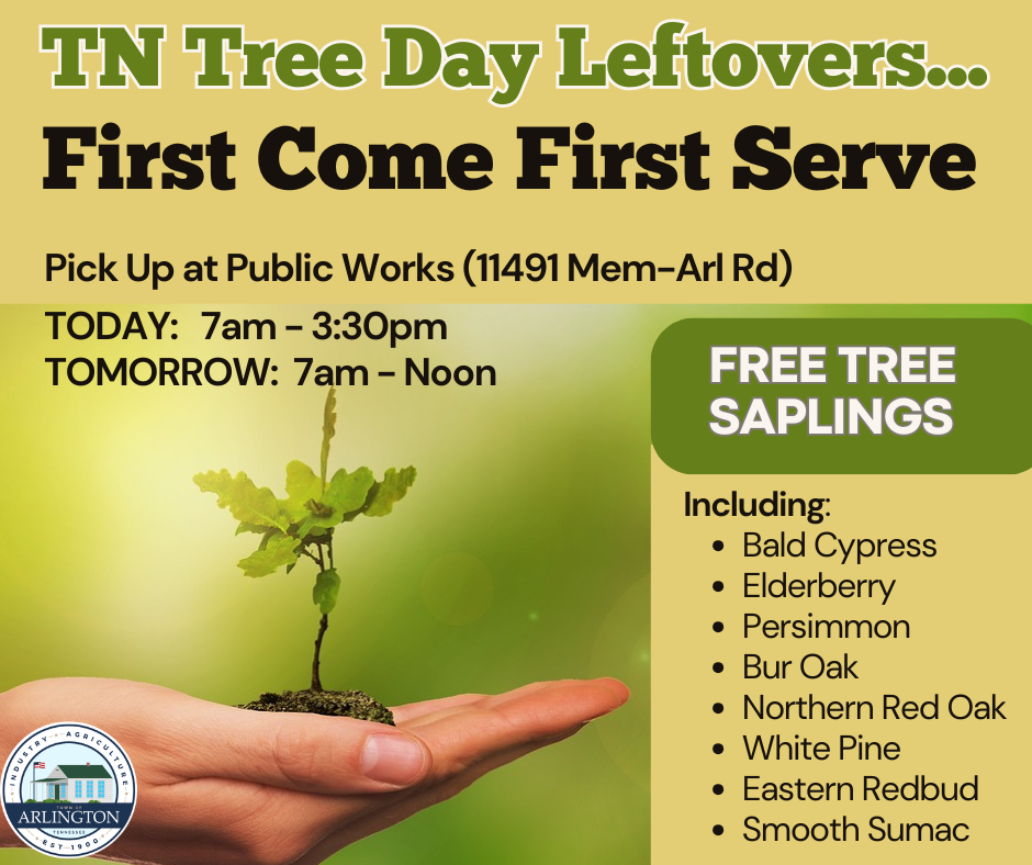 Stop by Public Works and chose from leftover trees from TN Tree Day! Public works is at 11491 Memphis-Arlington Rd. Available today from 7am to 3:30pm, and tomorrow from 7am to Noon. Includes: bald cypress, elderberry, persimmon, bur oak, northern red oak, white pine, eastern redbud, and smooth sumac.