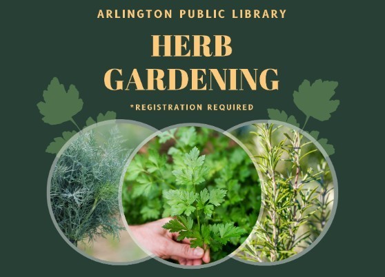Graphic with green background and 3 circles with pictures of herbs in it. Text in peach says: Arlington Public LIbrary, Herb Gardening. Registration Required. 