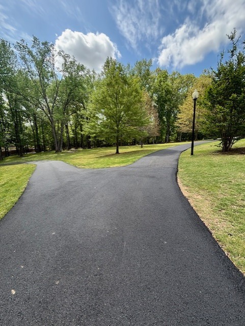 Freshly paved black walking trail running through a park of green grass and trees. The trail splits around a tree and heads off to the right and left.. A blue sky with white clouds is above