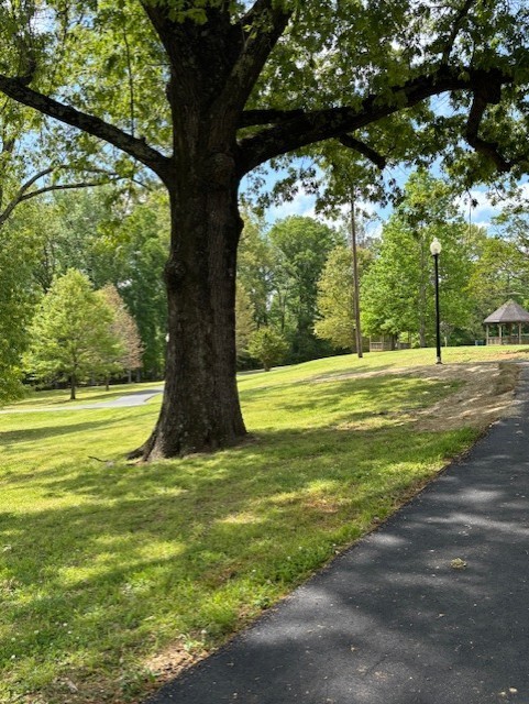 Picture of a tree on left side in a park with a black asphalt trail running beside it and a brown roofed pavilion in the background