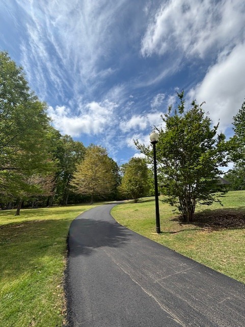 Freshly paved black walking trail running through a park of green grass and trees. A blue sky with white clouds is above