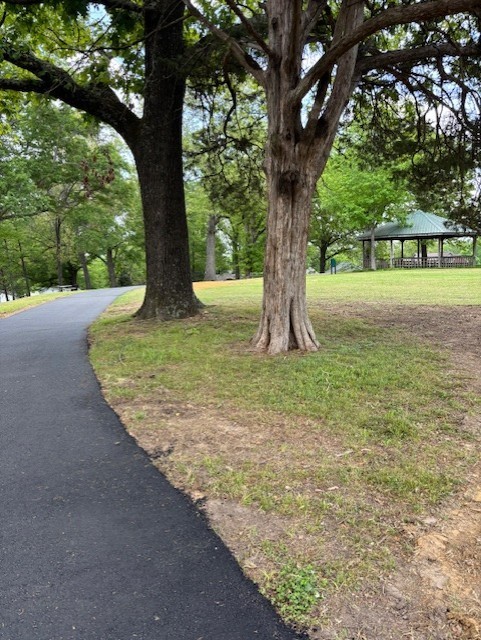 Picture of a couple trees in a park with a black asphalt trail running beside them and a green roofed pavilion in the background