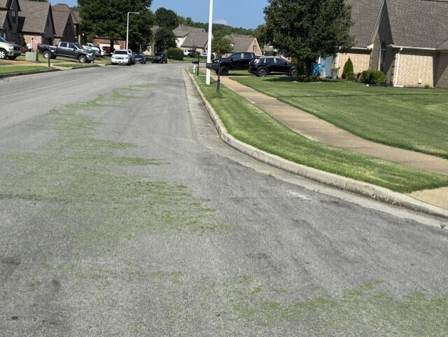 Photo of a 2-lane residential street with grass clippings scattered in the road, alongside a corner lot with a freshly mowed, green lawn