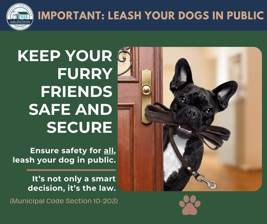Leash your dogs in public Graphic. Includes a picture of a black and white puppy with a leash in his mouth looking out a front door. Text says: Keep your furry friends safe and secure. Ensure safety for all, leash your dog in public. It's not only a smart decision, it's the law. Below says Municipal Code Section 10-203