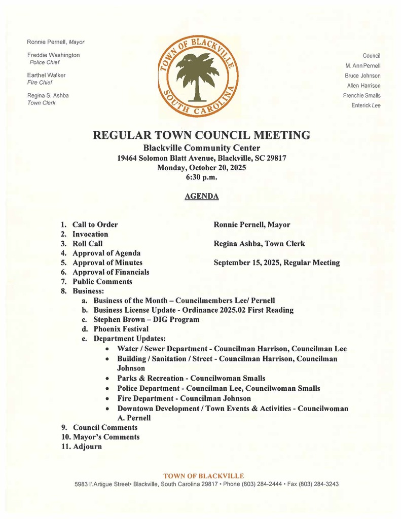 regular town council meeting