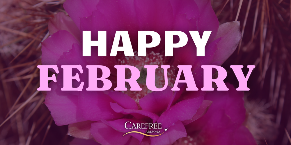 February Carefree Connection