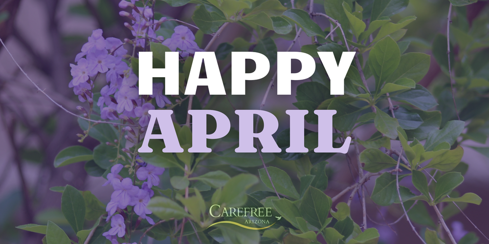 April Carefree Connection