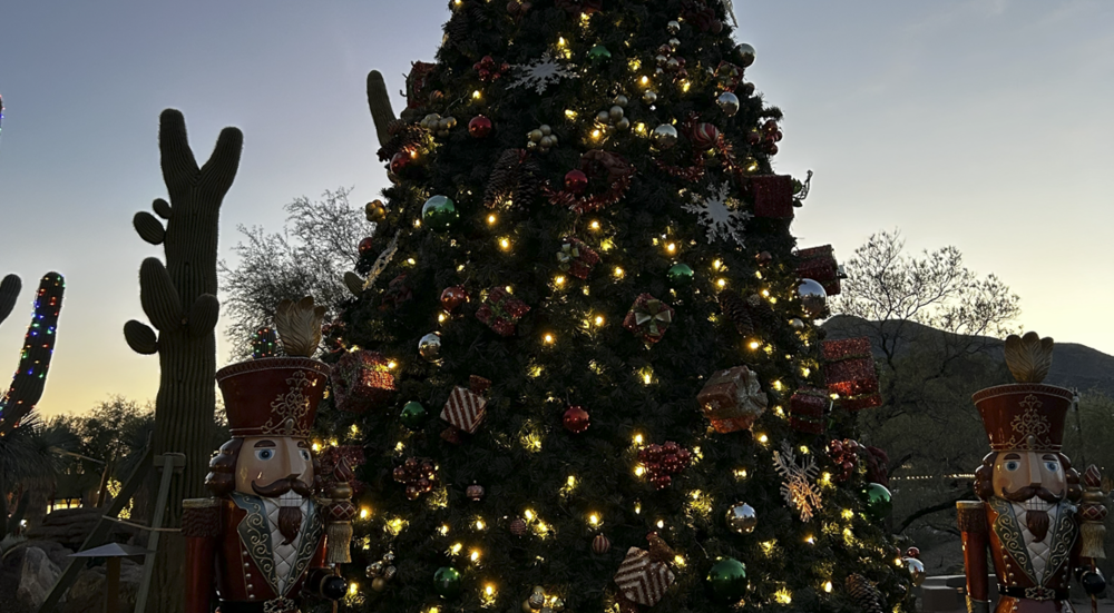 Outdoor Christmas Tree