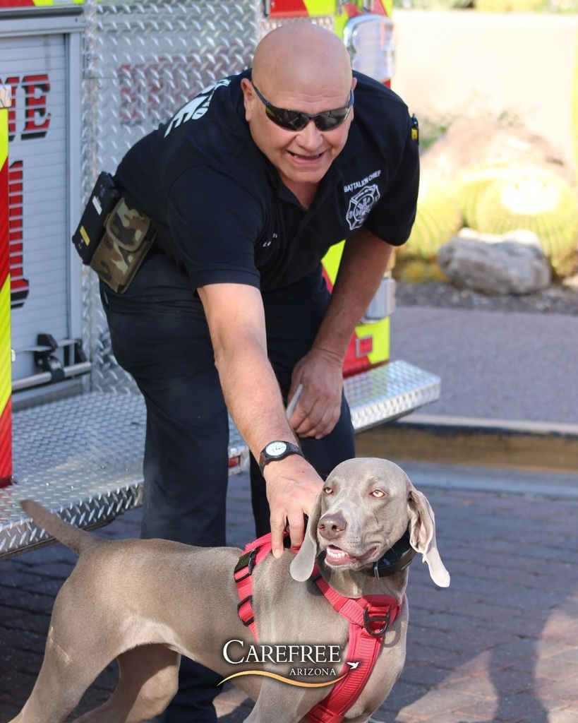 Firefighter and dog