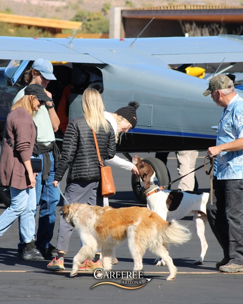 Dogs and people at an event