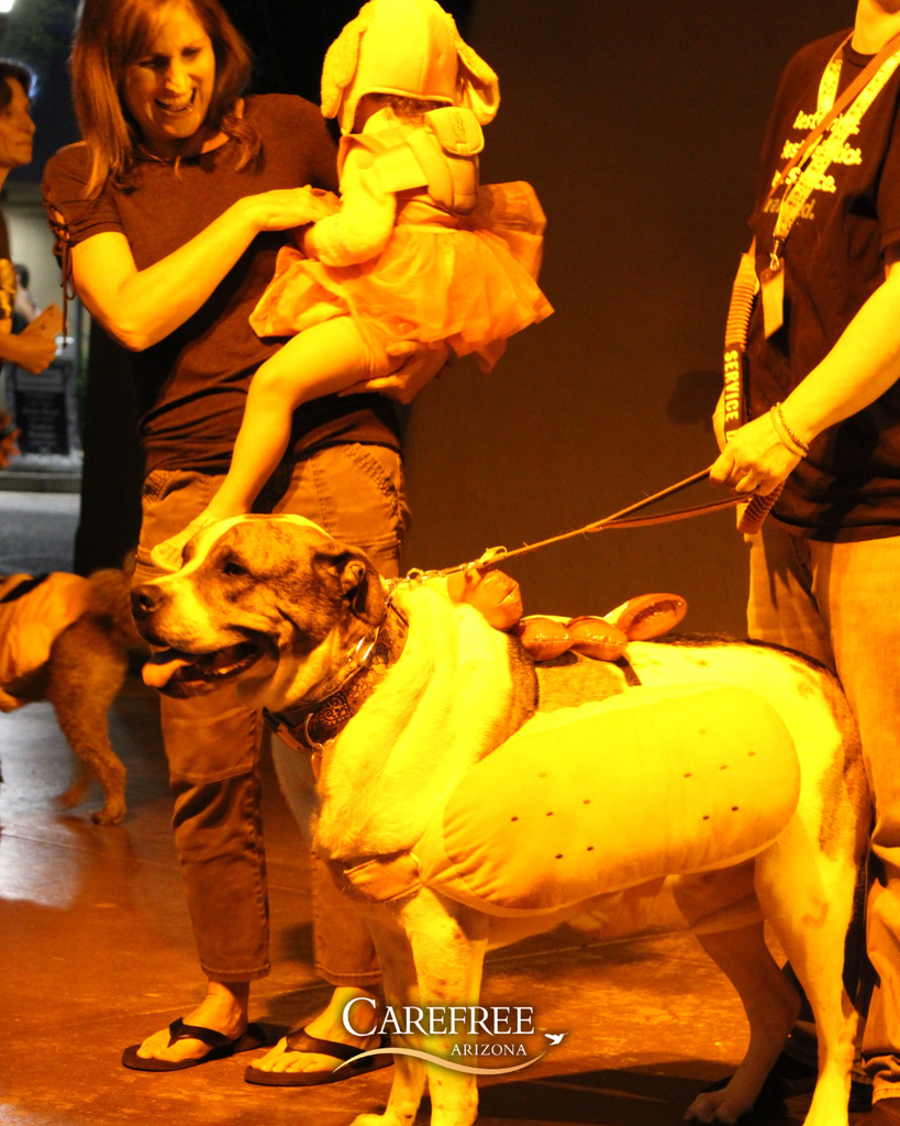 Dog in hot dog costume