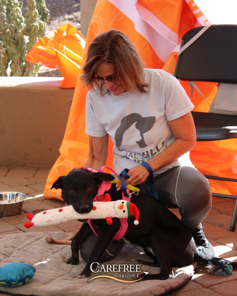 Foothills Animal Rescue volunteer holding puppy