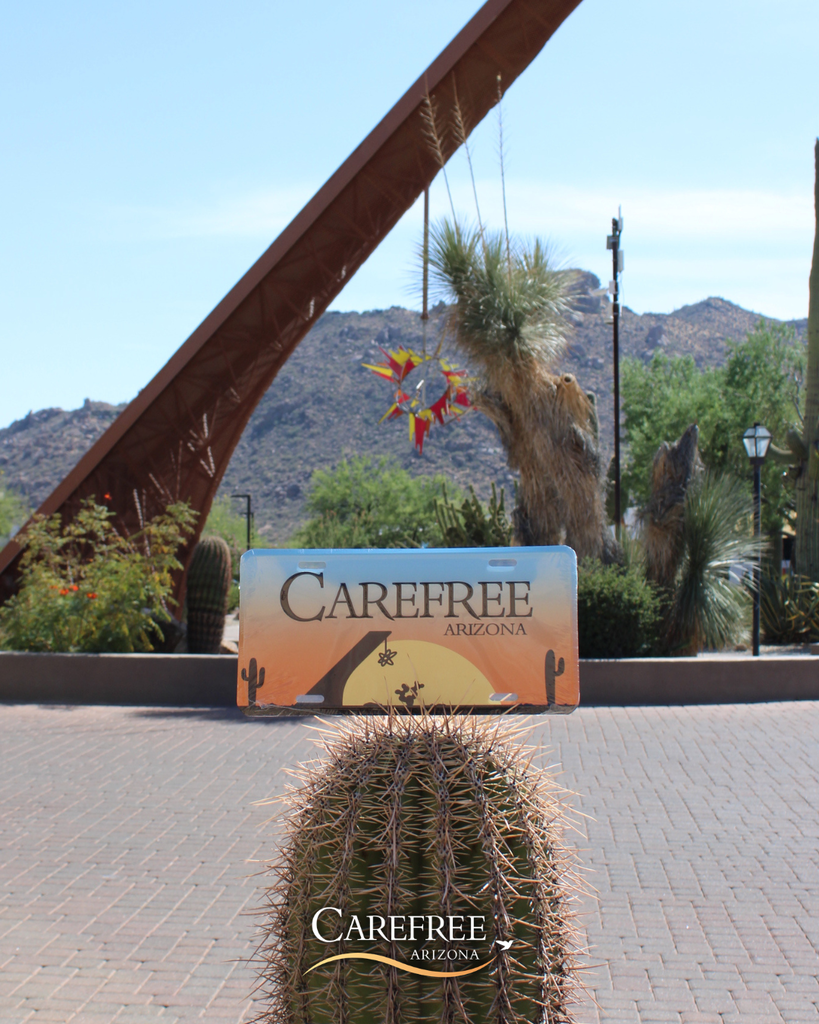 License plate on a cactus