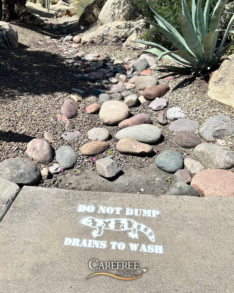 Do Not Dump, Drains to Wash